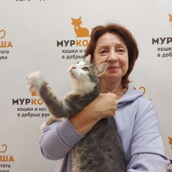 Бандитос