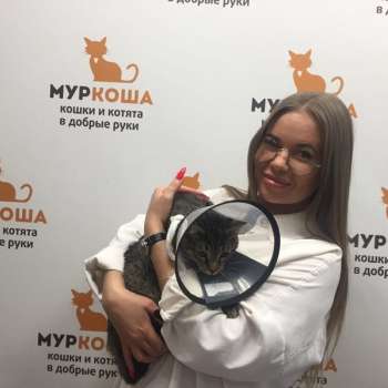 Басков