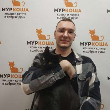 Баттерфляй 