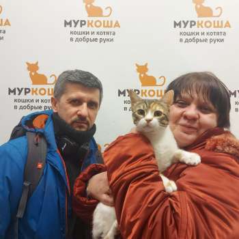 Беркана 