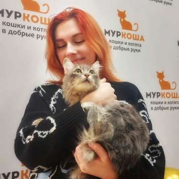 Бизли