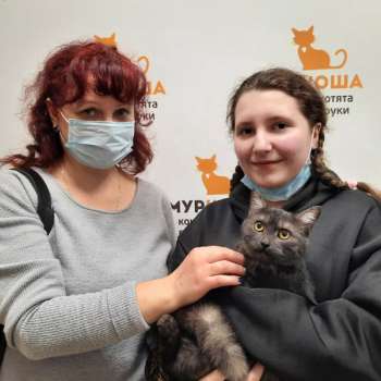Цапля
