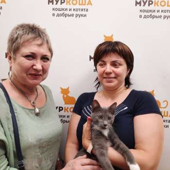 Царапыч 