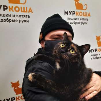 Церера