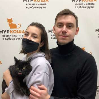 Чибо 