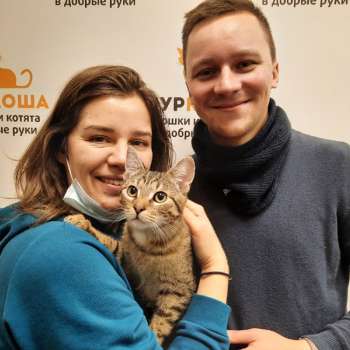 Чокопай