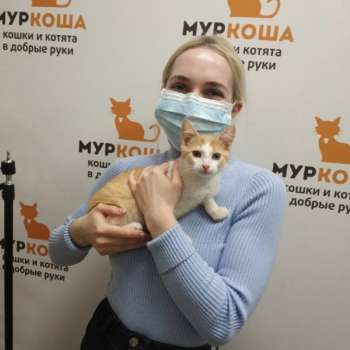 Цитрончик 