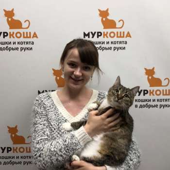 Цуцца
