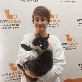 Дакота