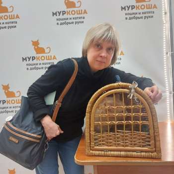 Дарлинг 