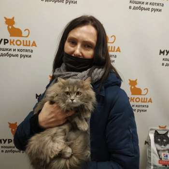 Дельфина 