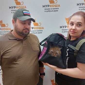 Добрыня Никитич
