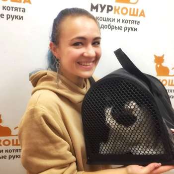 Дольф 