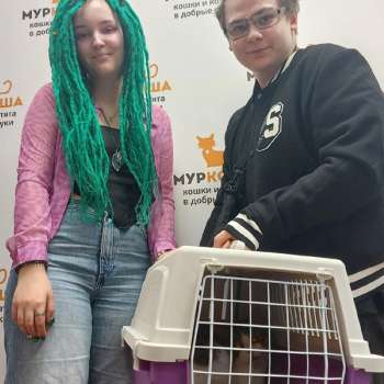 Домиано 