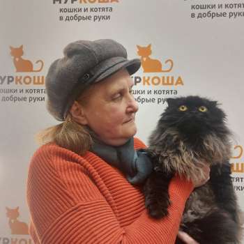 Дорама