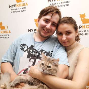 Дракоша
