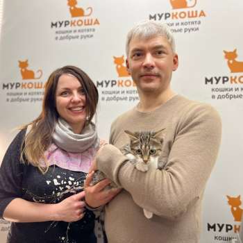 Эльфрида