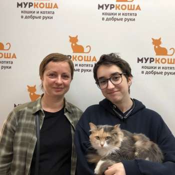 Эллика