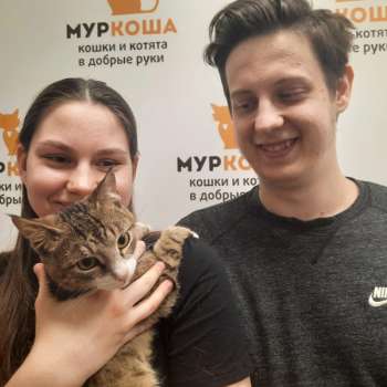 Эрлих 