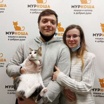 Эверест 