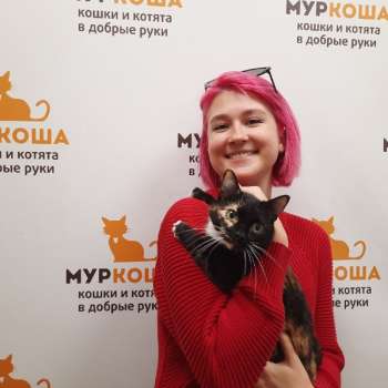 Фефочка 