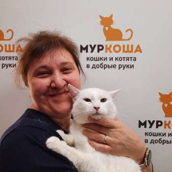 Фетакса