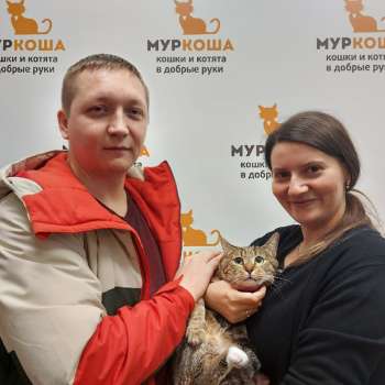 Флюгер