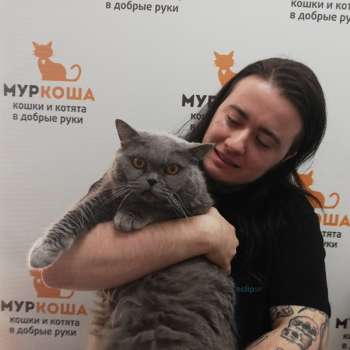 Фоги