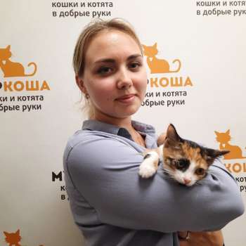 Гаечка 