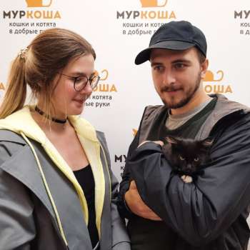 Грушка 