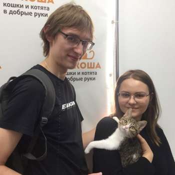 Гвендолин