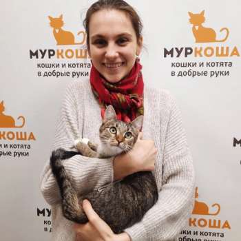 Инха 