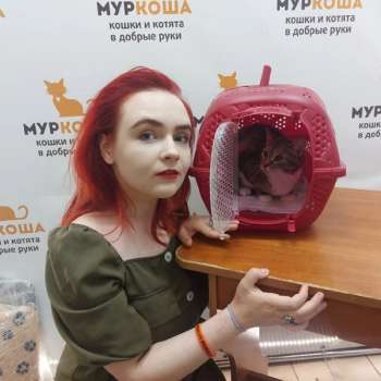 Инсайта 
