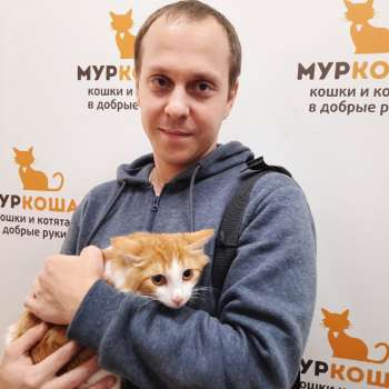 Интеграл 