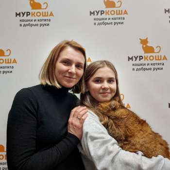 Ирландия