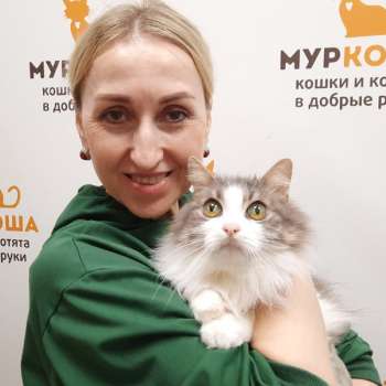Изочка