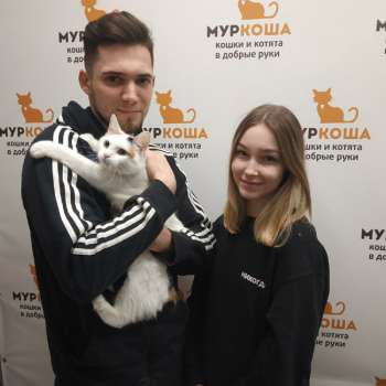 Канапэ 