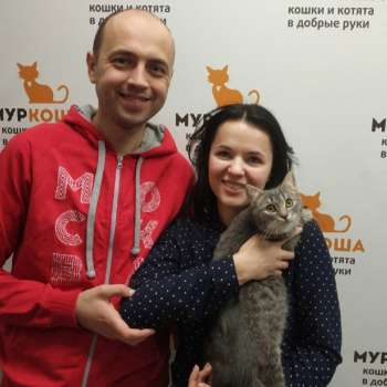 Каширка 