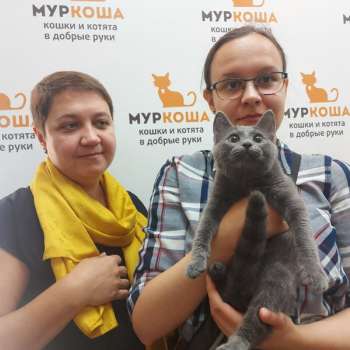 Катцу 