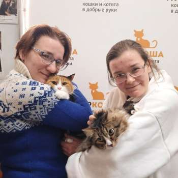 Катиша