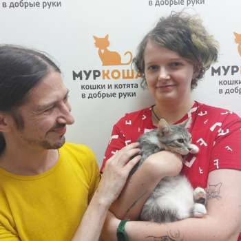 Келвин 