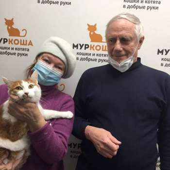 Кетчуп