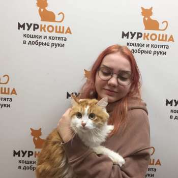 Хайми