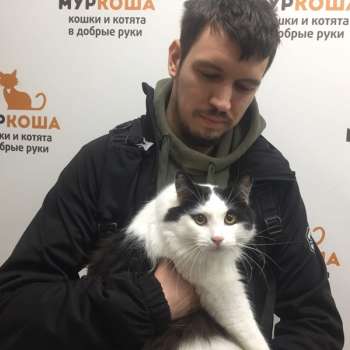 Хайтао 