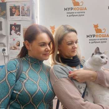 Хэми 