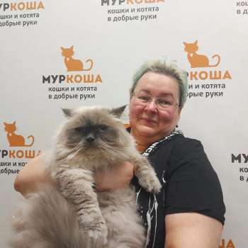 Холзи 