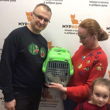 Килька
