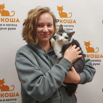 Кокоша