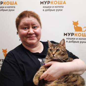 Конфетти