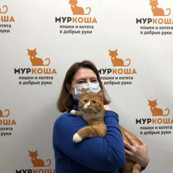 Корусант